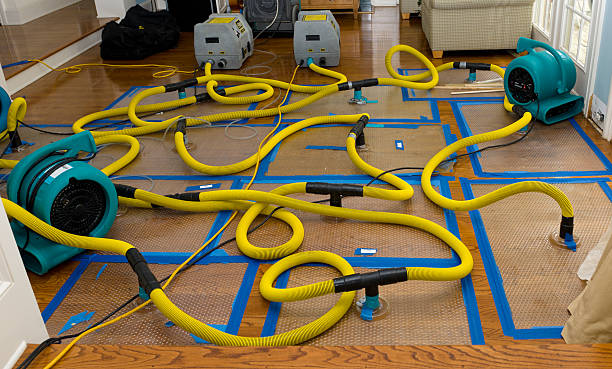 Professional Burst Pipe Water Damage technician working in Paola, KS